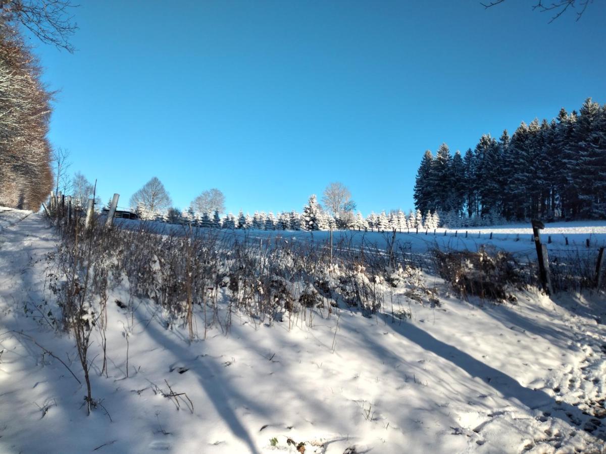 Ferienwohnung Wilmes Winterberg Exterior foto